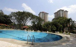 Normanton Park Condo En Bloc